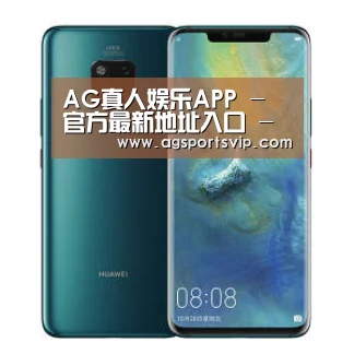 华为无线快充手机