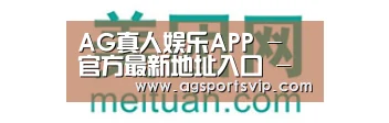 美团网